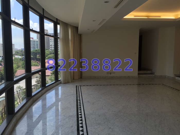 Four Seasons Park (D10), Condominium #49134812